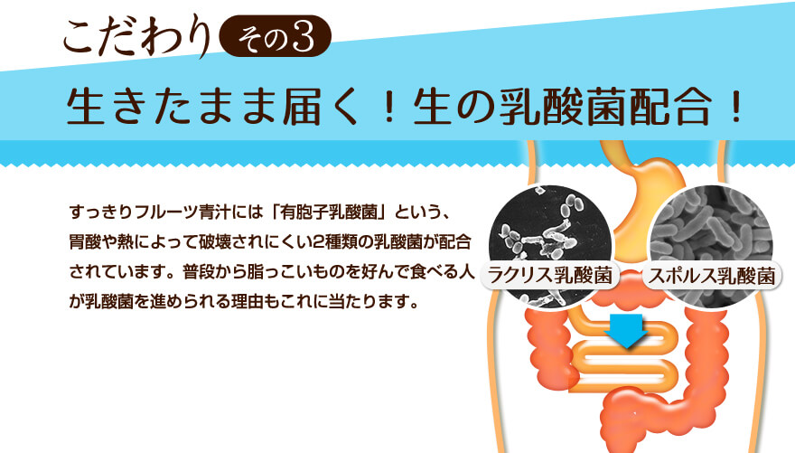 こだわりその3 生きたまま届く！生の乳酸菌配合！