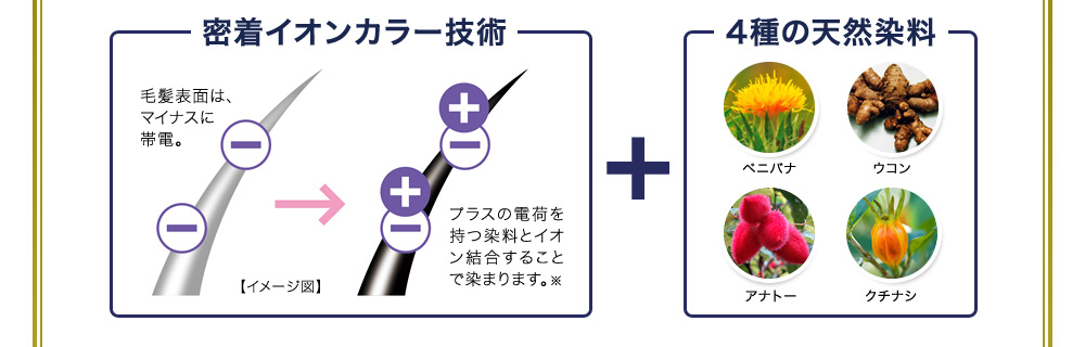 密着イオンカラー技術+4種の天然染料