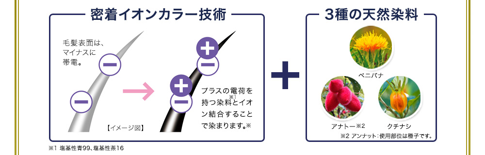 密着イオンカラー技術+3種の天然染料