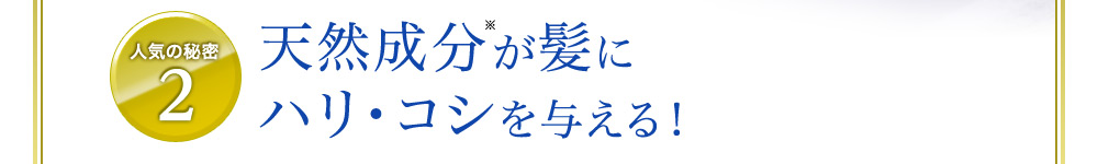 人気の秘密2 天然成分が髪にコシを与えボリュームアップ。