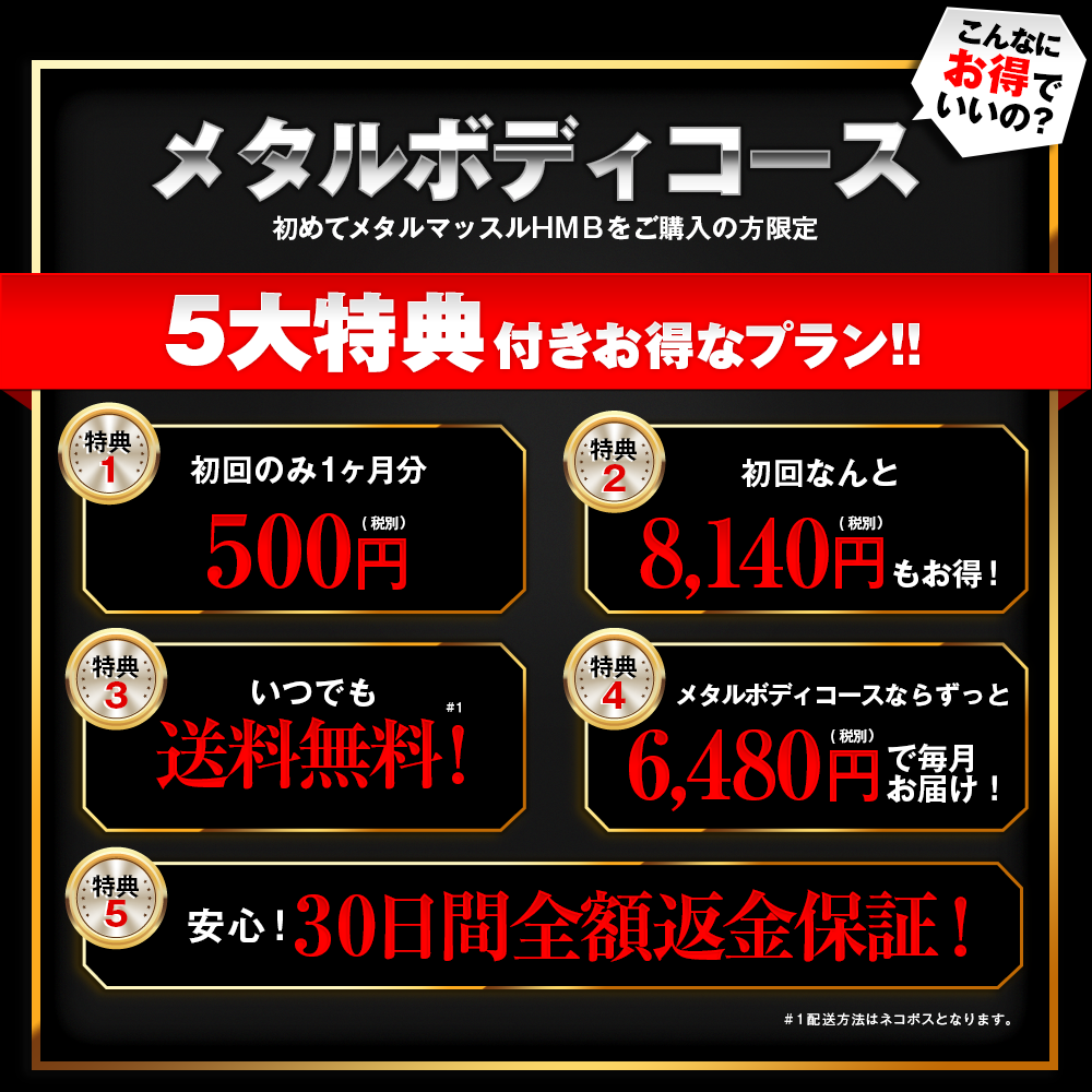 メタルボディコース5大特典