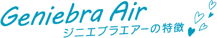 ジニエブラエアーの特徴