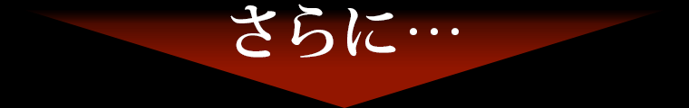 さらに…