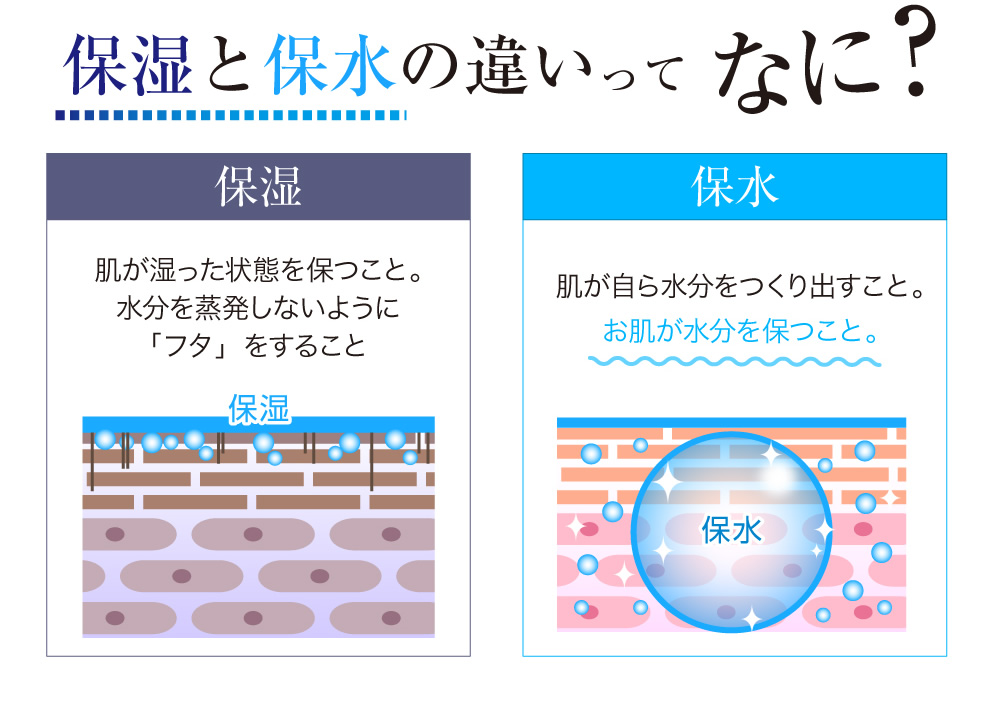 保水と保湿の違いってなに？